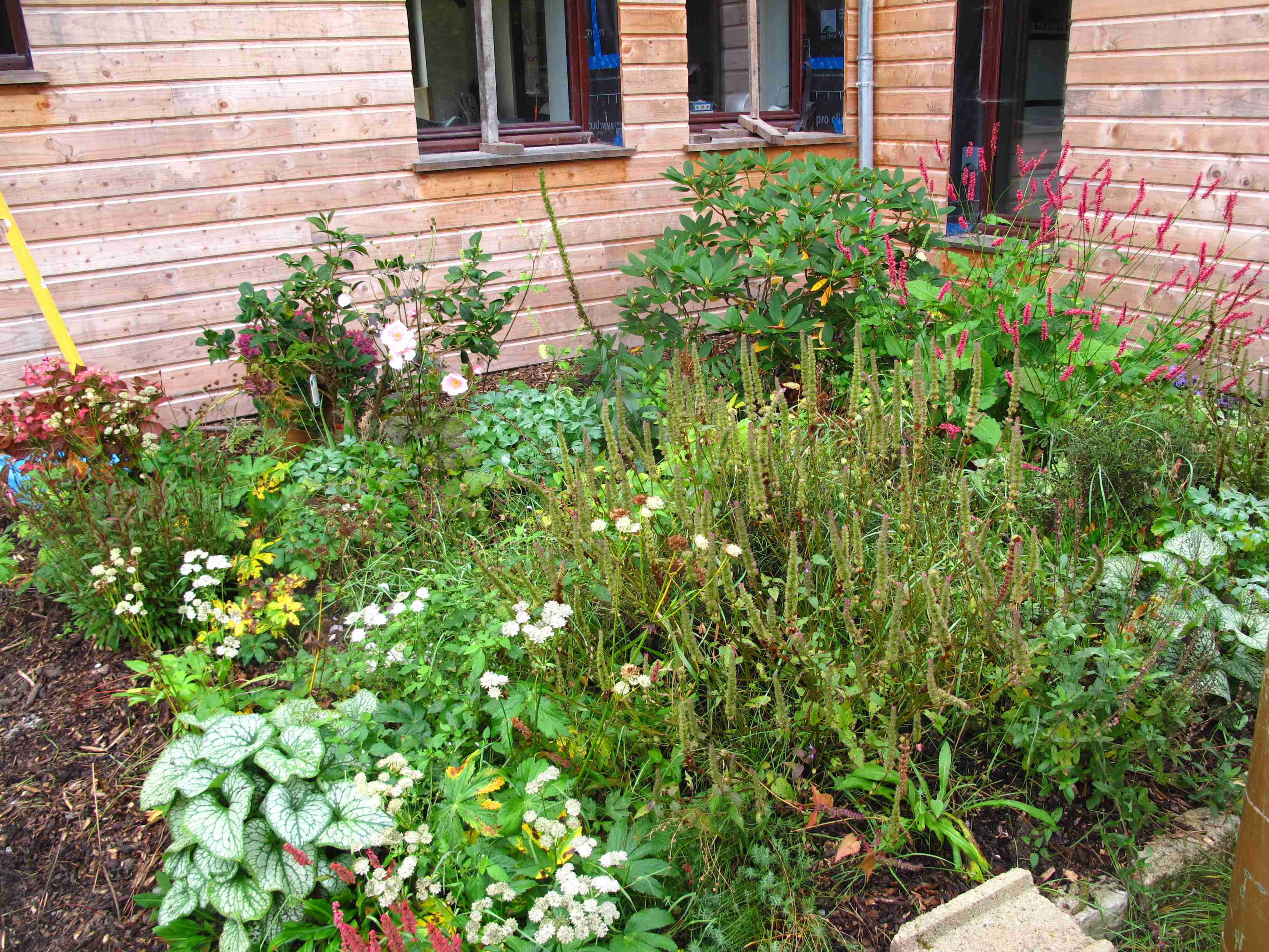 Jeune massif au mois de mai et d&rsquo;octobre