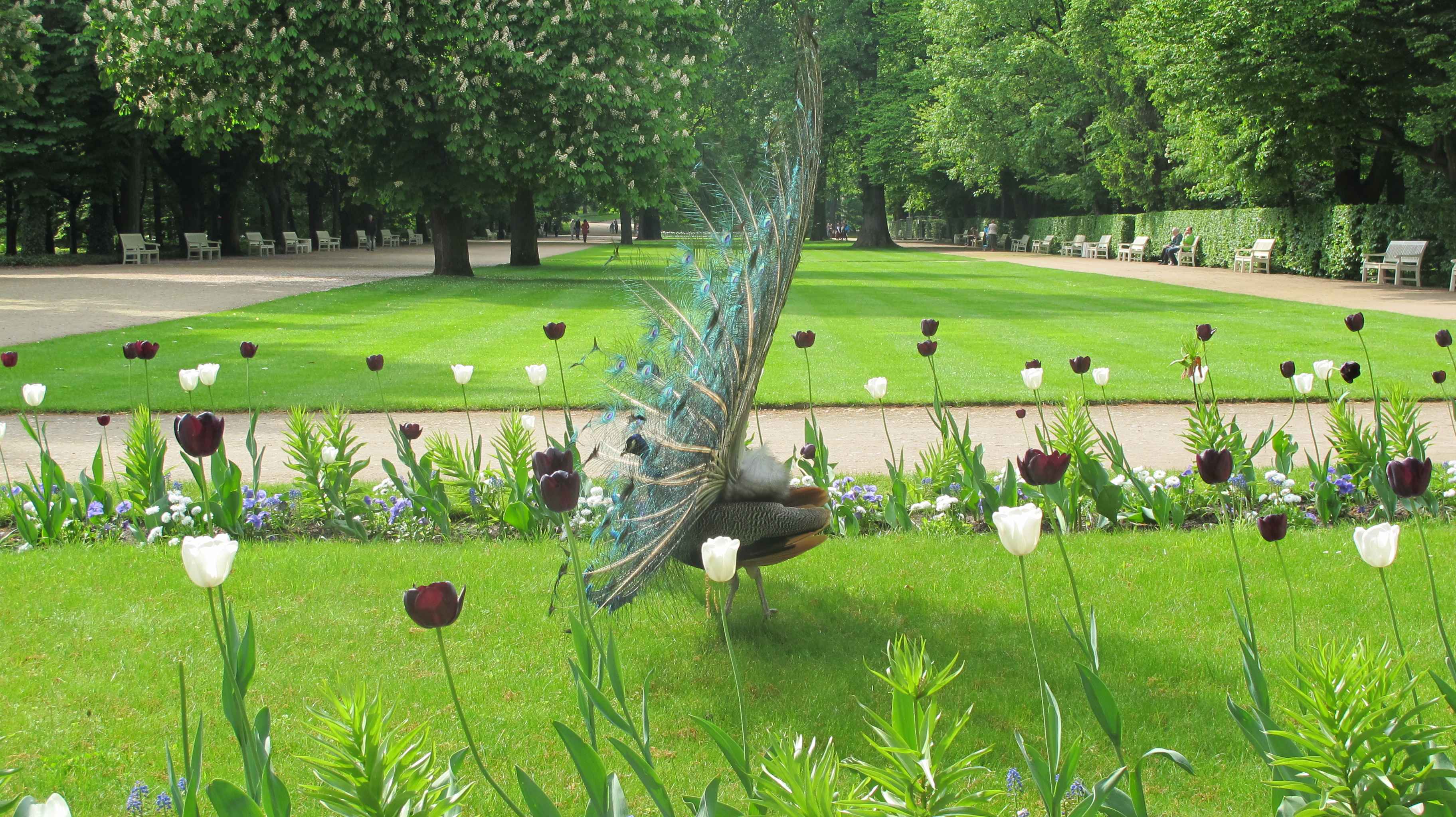 Łazienki Królewskie