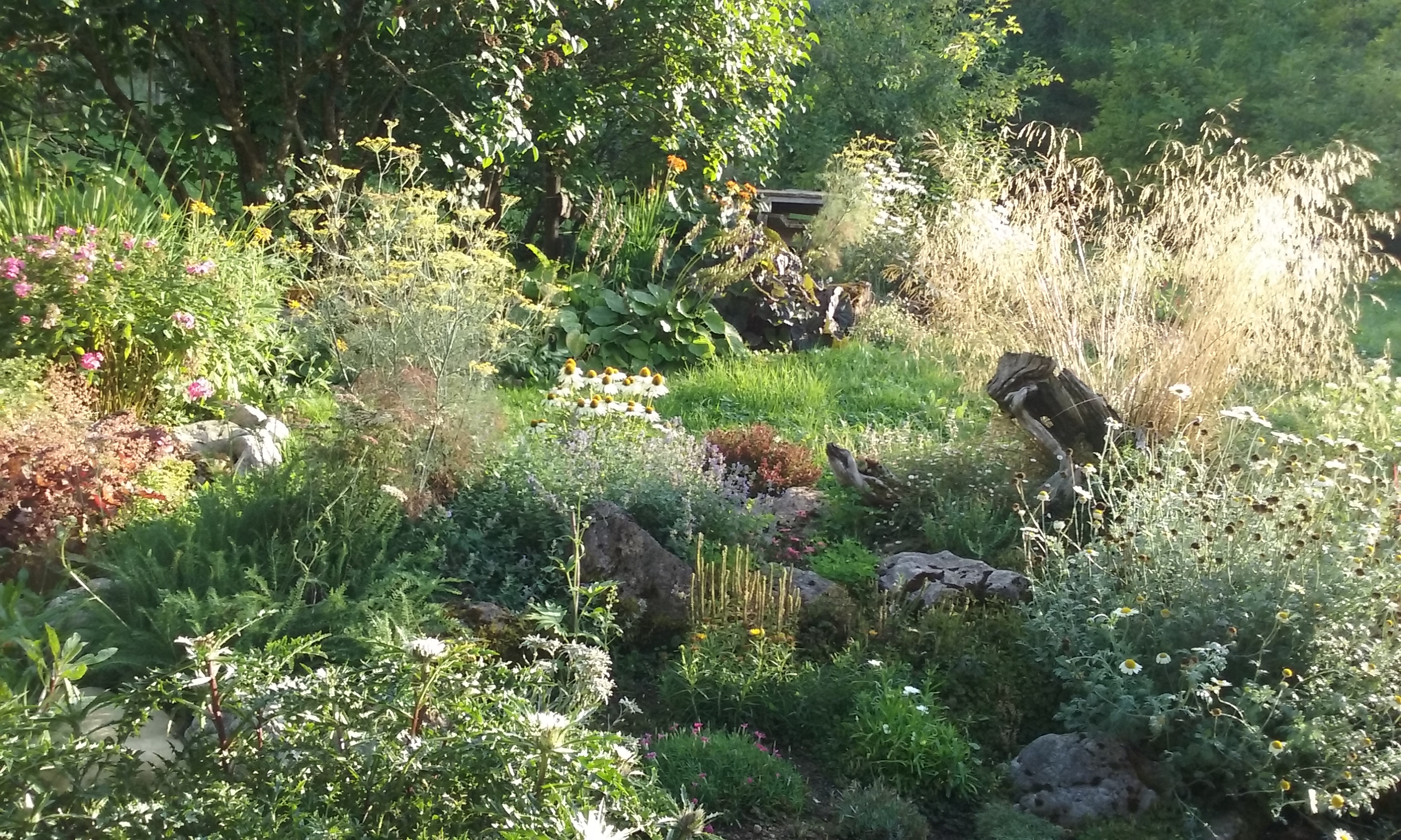Un jardin en montagne