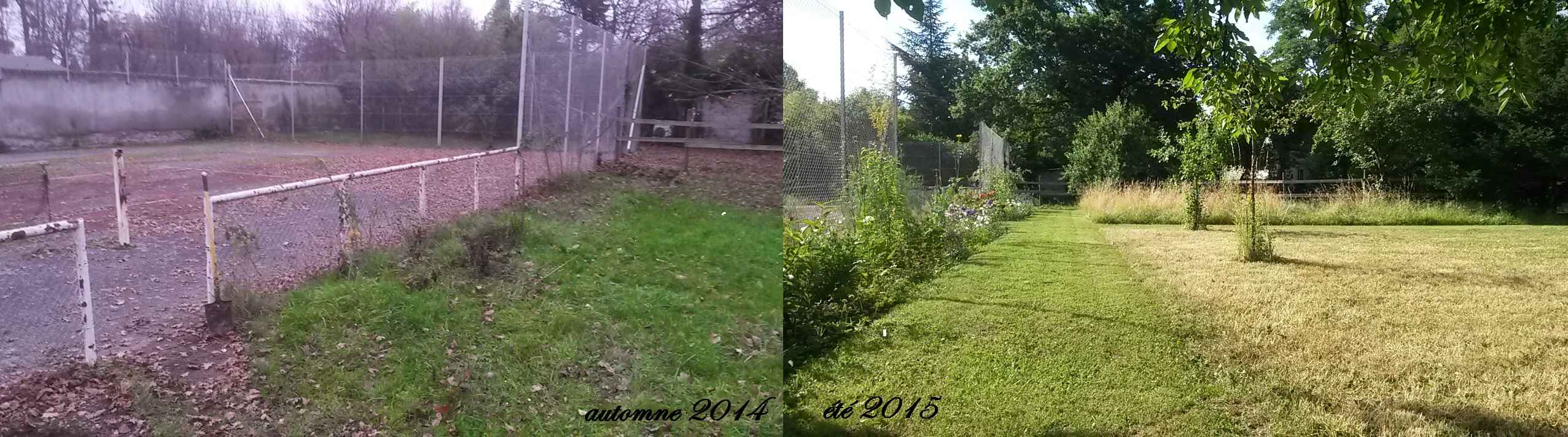 paysage et respect de la biodiversité