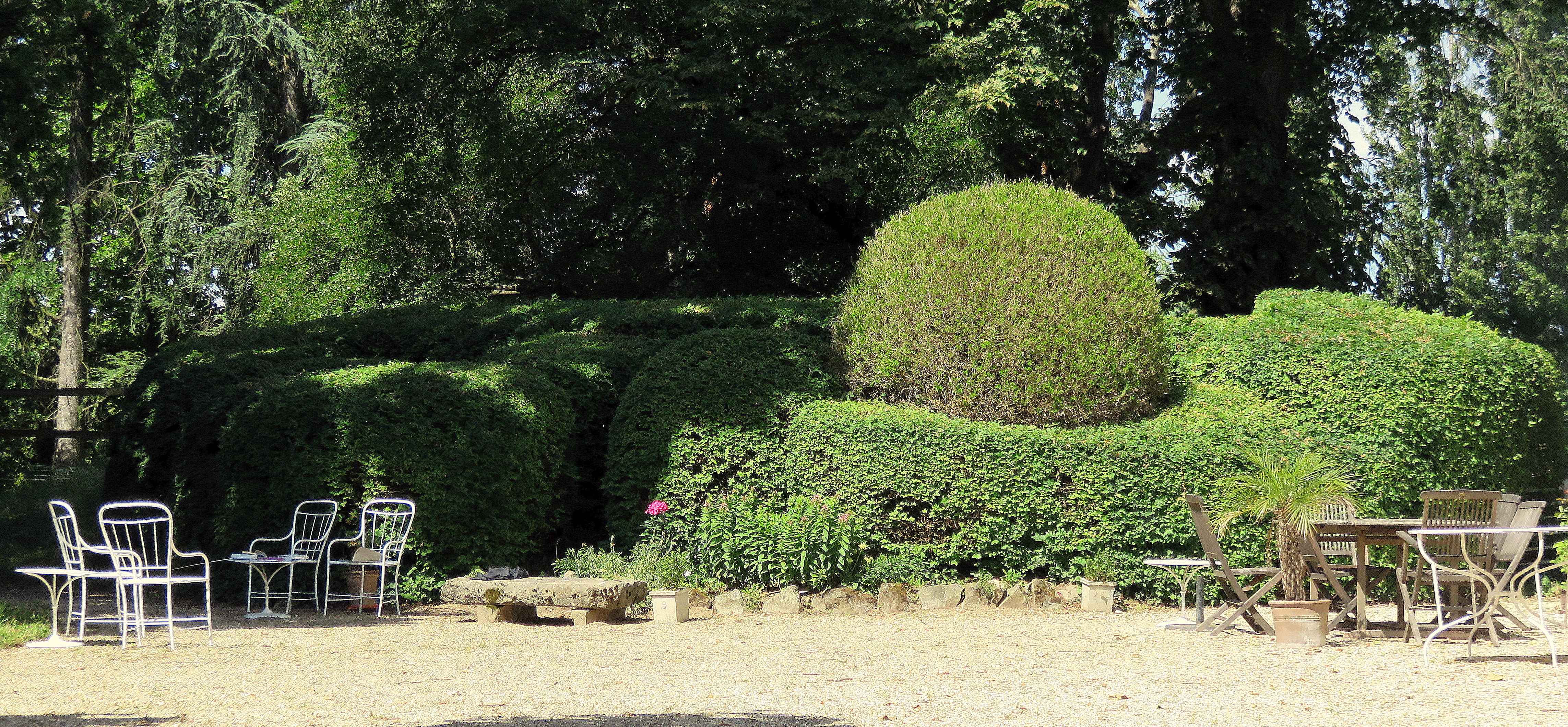 Taille architecturée, taille de haies
