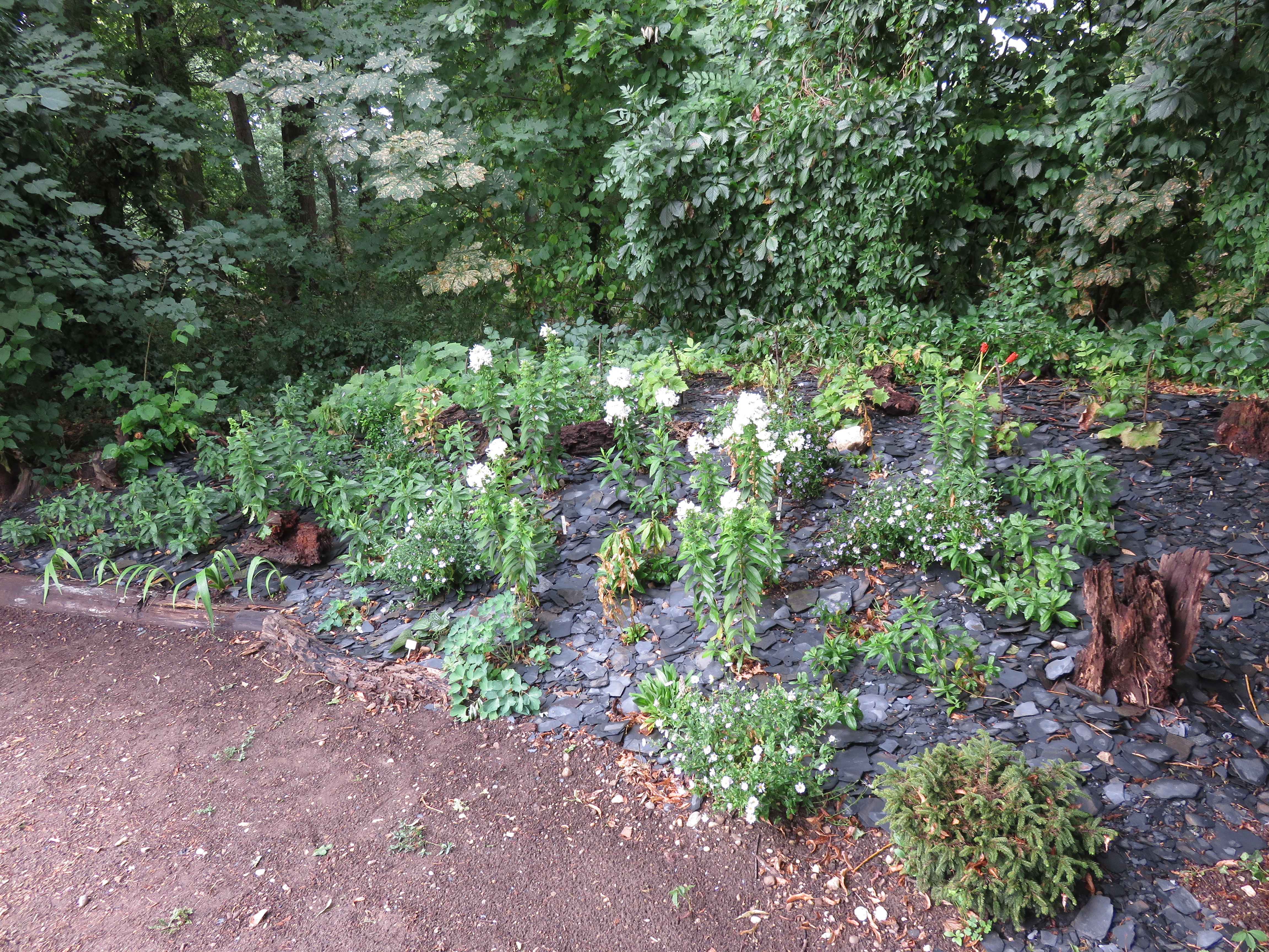 Élégance et patrimoine au pied du vieux chêne