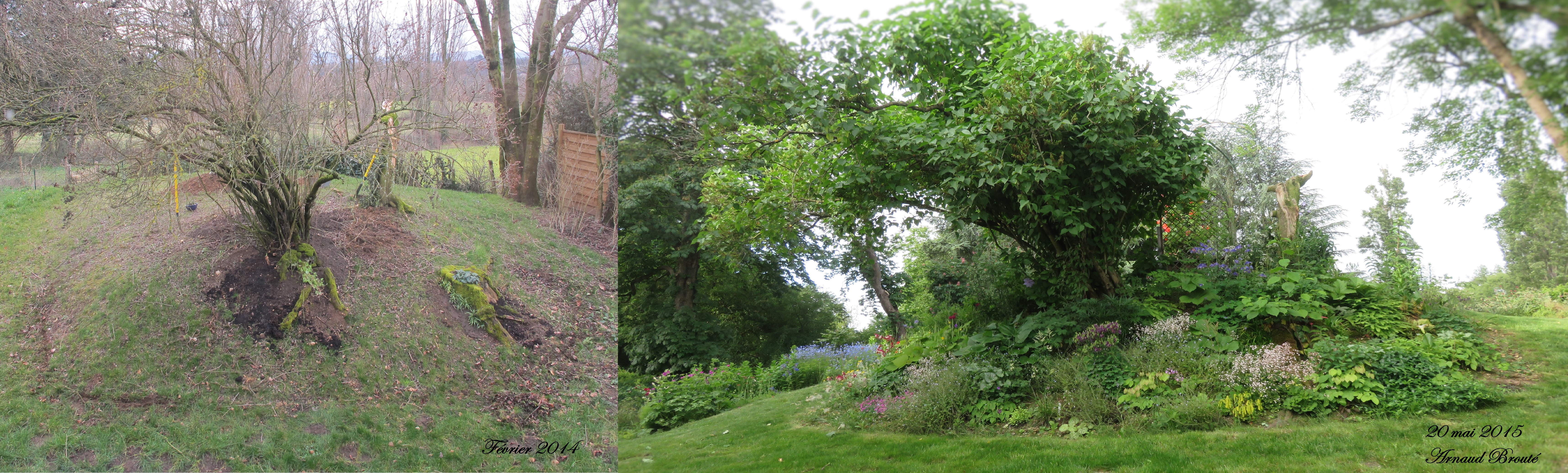 souligner un banal lilas