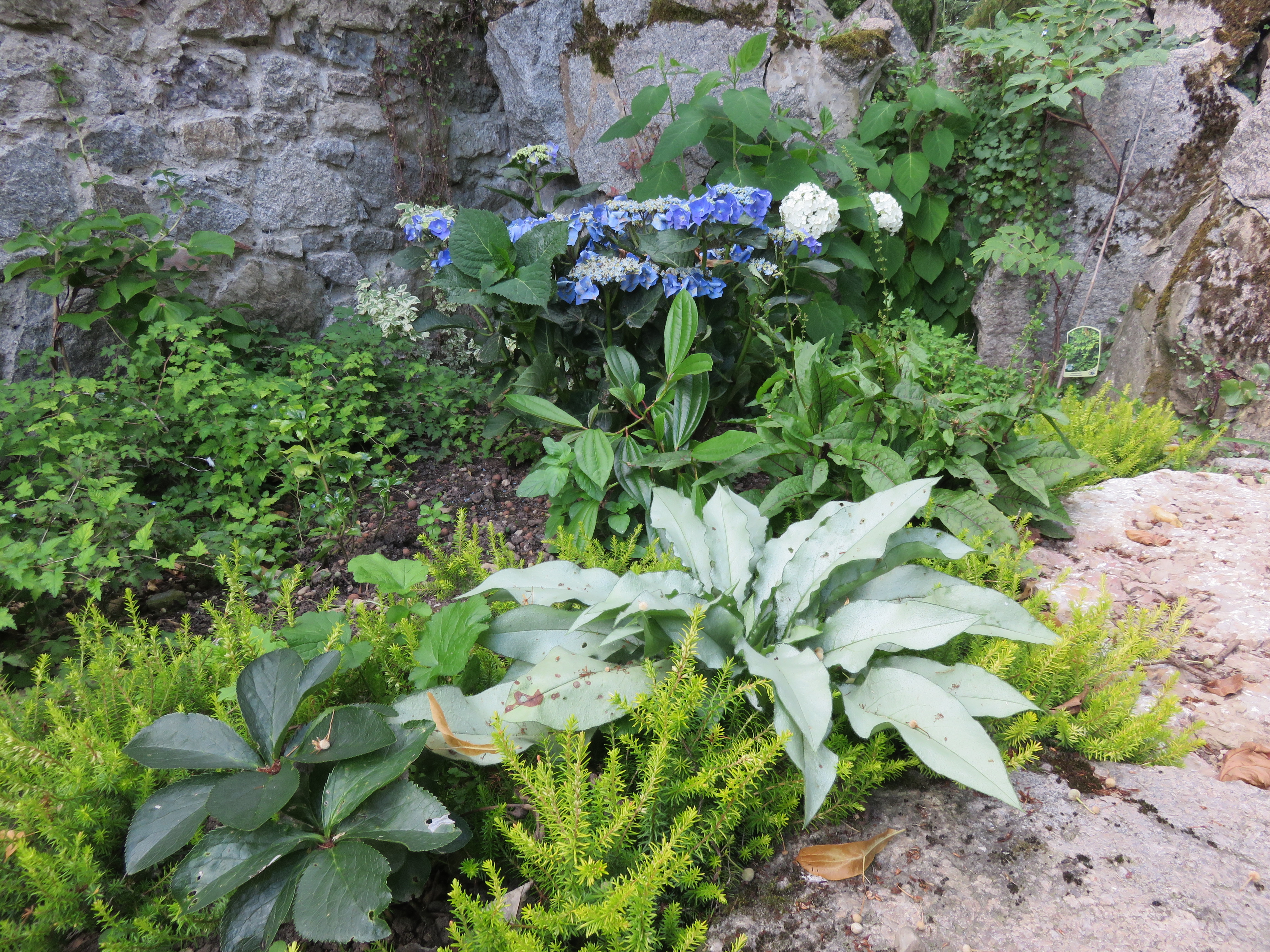 Pièce de fraîcheur