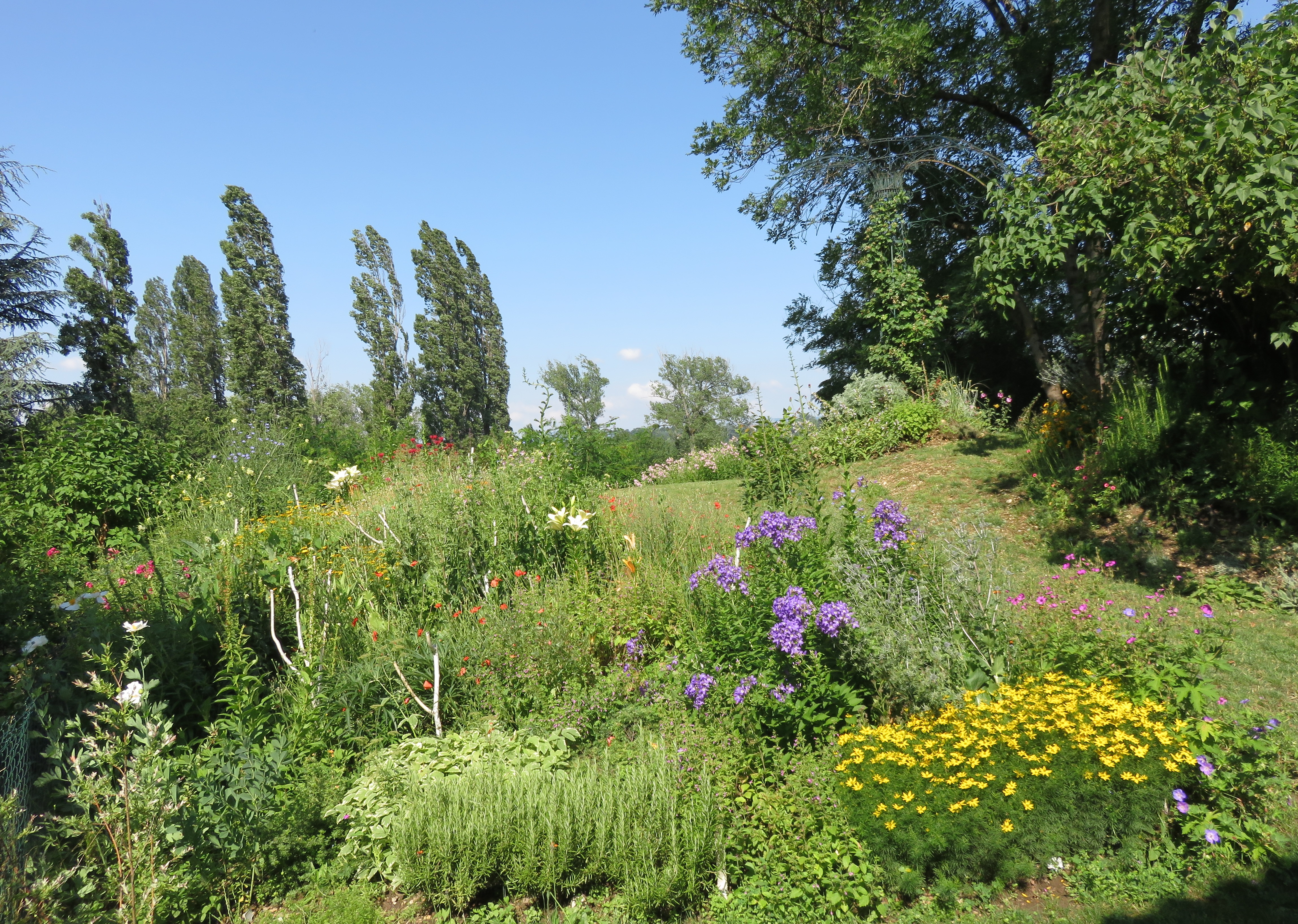 Spectacle végétal sans artifices